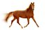 el caballo